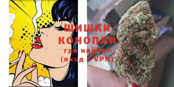 ПСИЛОЦИБИНОВЫЕ ГРИБЫ Абаза