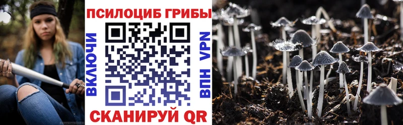 Галлюциногенные грибы Cubensis  Боровичи 